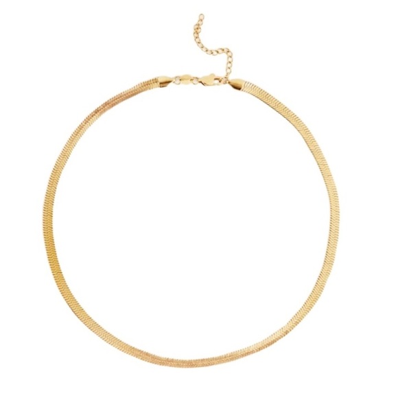 Jennifer Zeuner Jewelry - Jennifer Zeuner Herringbone Necklace 14k Yellow Gold Plated Brass Allie Chain